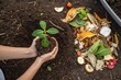 © Ann - Planting seedling near compost pile in garden. Hands holding a young plant above rich soil next to a compost pile of food scraps, promoting sustainable gardening and recycling