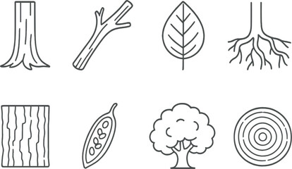 Tree anatomy outline icons set – silhouette, nature and botany symbol elements
