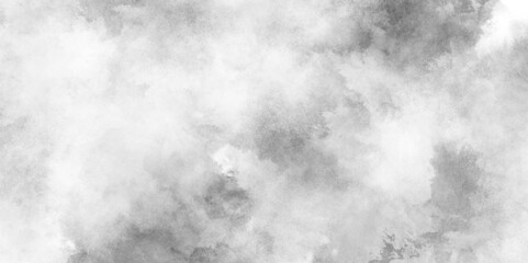 Canvas Print - abstract soft textured white and black with gray speckles background, soft white watercolor grunge t