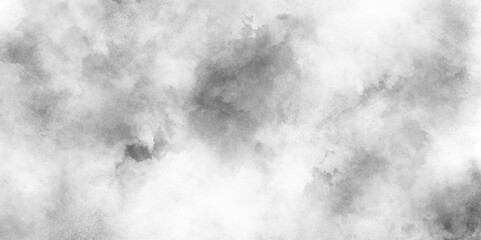 Canvas Print - abstract soft textured white and black with gray speckles background, soft white watercolor grunge t