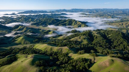Aufkleber - Sweeping views of lush green hills transition into soft fog, as the early morning light envelops the landscape in a peaceful, dreamlike atmosphere