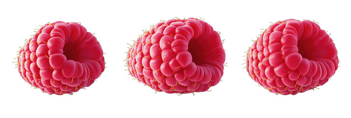 Poster - Realistic 3D rendering of vibrant raspberry fruit with detailed texture and color variations, isolated on transparent background, png