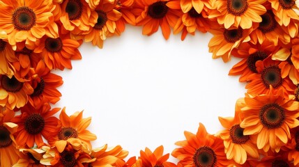 Poster - Bright sunflower petals form a joyful circular arrangement on a clean white backdrop, perfect for uplifting designs or seasonal celebrations