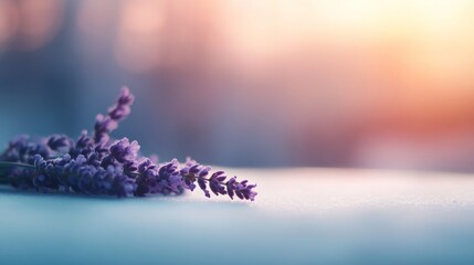 Poster - A small cluster of lavender flowers rests on a white surface, highlighting the soft purple hues and delicate textures, evoking calmness and tranquility