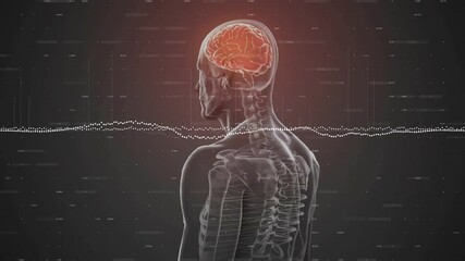 Poster - 3D render translucent skeleton showing red brain spine presenting dotted waveform and floating data