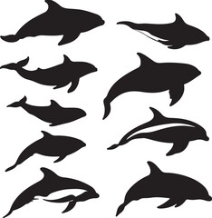  Dolphin Silhouettes Vector: Marine Mammals, Ocean Wildlife Art Graphic