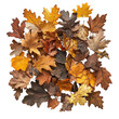 © Ram Ram - Pile of autumn leaves isolated on transparent background