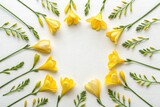 Bright Yellow Freesia Flowers Arranged on a White Background Generative AI