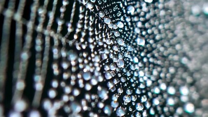 Macro view of dew drops clinging to a spider web with a black background, showcasing intricate details and light refraction.