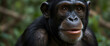 © Adorable Works - Chimpanzee with Textured Skin