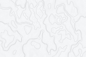 Poster - modern topo minimalist abstract topographic map design featuring contour wavey lines on a white background. The image is clean, modern, and suitable for artistic purposes.