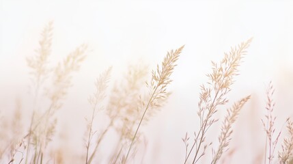 Naklejka na meble Soft sunlight on tall grasses serene