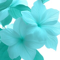 Poster - Aqua-toned floral close-up, showcasing delicate petals and leaves