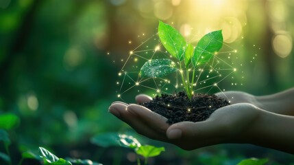 Poster - Concept about interconnectedness of the natural world and sustainable investment opportunities
