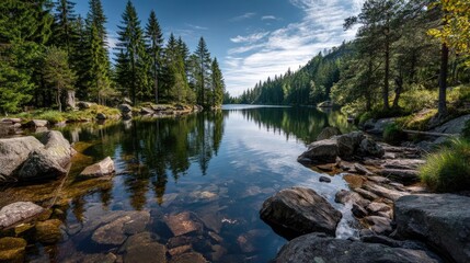 Poster - Scenic view of lake in pine forest with rock and trees concept. Tranquil lake reflecting trees under a clear blue sky.