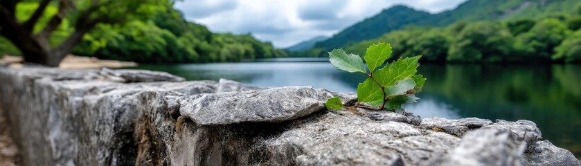 Poster - Scenic view of lake in pine forest under peaceful nature concept. A serene view of a river framed by lush greenery and mountains.