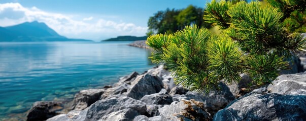 Poster - Scenic view of lake in pine forest with rock and trees concept. A serene landscape featuring a lake and lush greenery.