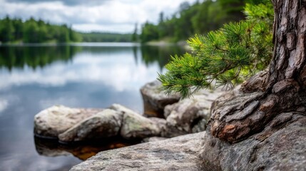 Poster - Scenic view of lake in pine forest under peaceful nature concept. Tranquil lakeside view with rocks and pine forest in background.