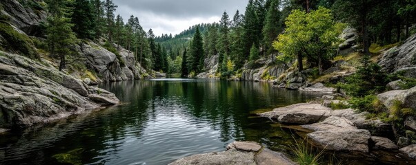 Poster - Scenic view of lake in pine forest under peaceful nature concept. Serene lake surrounded by lush trees and rocky formations.