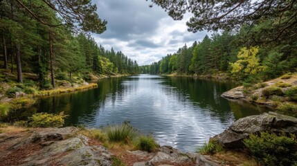 Poster - Scenic view of lake in pine forest under peaceful nature concept. Serene lake surrounded by lush trees under a cloudy sky.