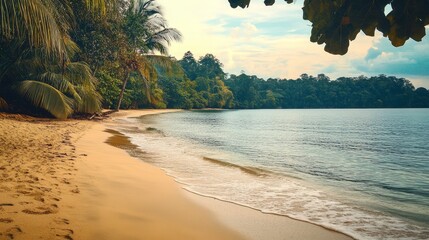 Wall Mural - Serene Tropical Beach Scene - Tranquil beach with soft sand, gentle waves, and lush tropical foliage. Perfect for travel, vacation, or relaxation themes