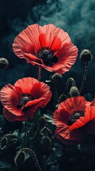 Aufkleber - Three vibrant red poppies bloom against a moody, dark teal background, their delicate petals contrasting sharply with the deep shadows. : Generative AI