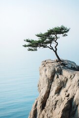 Poster - Solitary pine tree clinging to a rocky cliff overlooking a calm, blue ocean under a pale sky, evoking serenity and resilience. : Generative AI