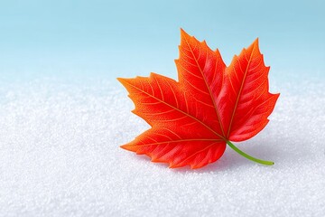 a red maple leaf resting on white snow