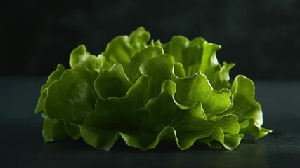 Poster - A detailed view of fresh lettuce leaves on a table