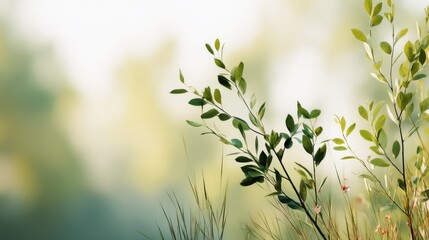 Poster - Serene springtime scene featuring delicate green leaves on slender branches, gently swaying in a soft, sunlit meadow with blurred background. : Generative AI