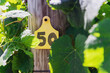 © Austockphoto - number 50 on a tag and the end of a grapevine row