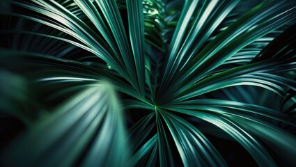 Poster - Breathtaking close-up of palm leaves showcasing detailed textures and vivid colors, ideal for nature-inspired projects, backgrounds, or botanical designs