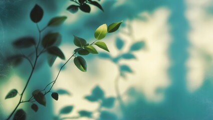 Aufkleber - Abstract blurred backdrop of leaf shadows on the wall