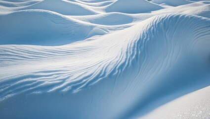 Poster - snowy backdrops