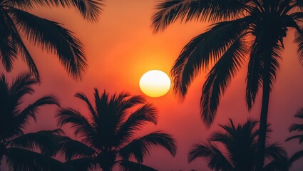 Poster - Beautiful sunset scene featuring a silhouetted palm tree