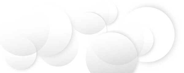 Poster - abstract geometric gray color circles lines background. white and gray color geometric shape and lin
