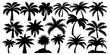 © MdAli - Collection of Tropical Palm Tree Silhouettes