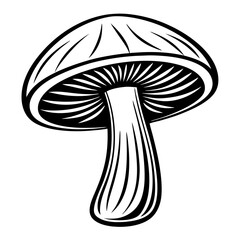 Poster - A monochrome mushroom illustration shows elegant lines and shadows. the intricate details of its form, suitable for artistic and design use.