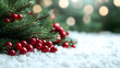 © oman - Lush evergreen boughs laden with vibrant red berries rest on a bed of pristine white snow, set against a softly blurred backdrop of warm, festive lights