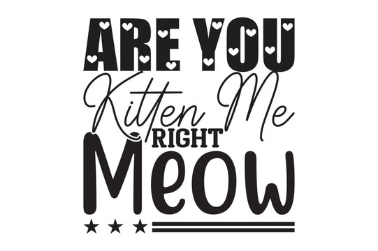 Are You Kitten Me Right Meow, cat t-shirt design