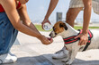 © Guillermo Spelucin - Couple giving water to their thirsty dog on a hot summer day