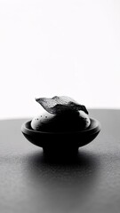 Fototapete - Serene Minimalist Still Life Leaf on Black Bowl