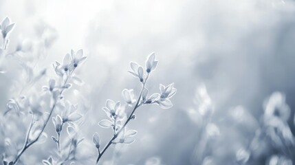 Poster - White and grey background with soft, blurry designs. Simple light, faded shapes create a subtle pattern.
