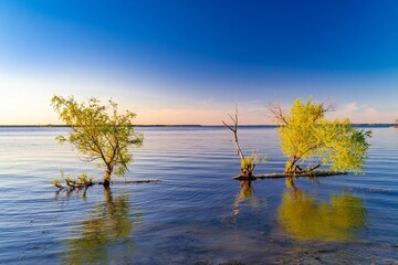 Wall Mural - Serene lake scene with reflecting trees at sunset in Lake Tawakoni State Park, Texas