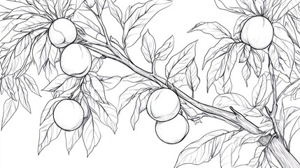 Peach branch, ripe fruit, leaves, orchard, summer, illustration, food, background