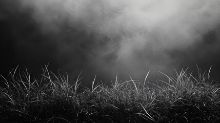 Fototapete - Abstract Grayscale Image of Sparkling Particles Under a Hazy Sky