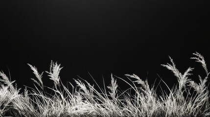 Fototapete - Abstract Monochrome Grass Elements on Black Background