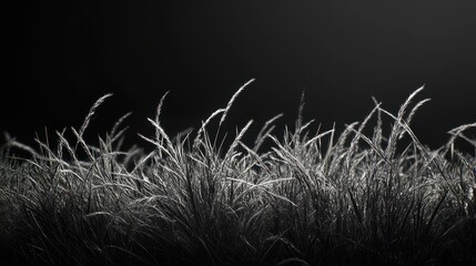 Fototapete - Abstract Sparkling Particles Resembling Grass on Dark Background