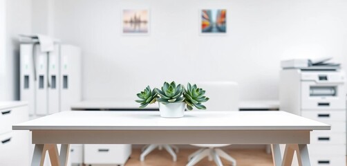 Wall Mural - Clean white desk, succulent plant, minimalist office background, picture, organized