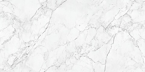 Poster - elegant white marble background with intricate veining and soft textures